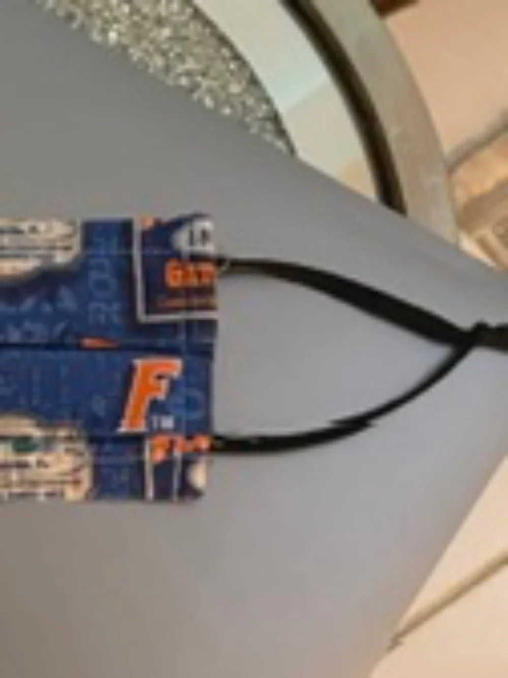 UF University of Florida protective cloth mask